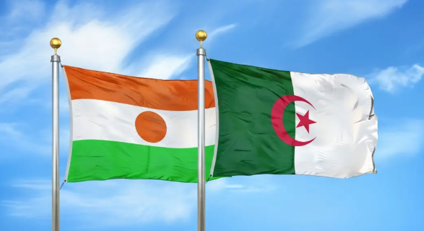 مسائل سياسية افريقية