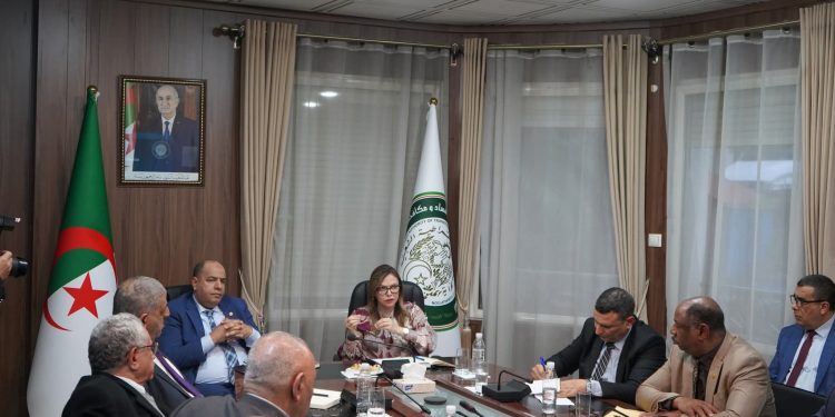السلطة العليا للشفافية