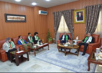 الذكاء الاصطناعي الإفريقي