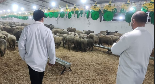 مناء مستغانم