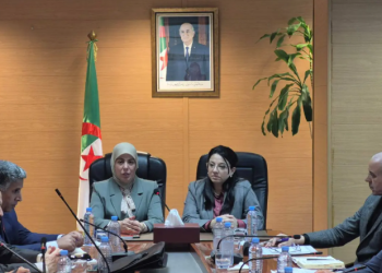 السوق الوطنية وضبط الأسعار