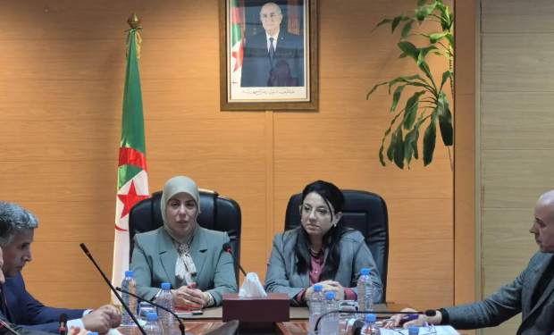 السوق الوطنية وضبط الأسعار