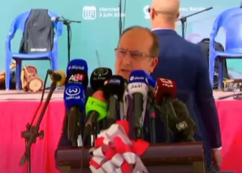 سيفي غريب