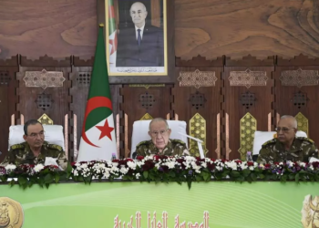 السعيد شنقريحة