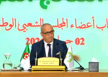 السلطة الوطنية المستقلة للانتخابات