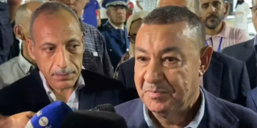 سرايدي