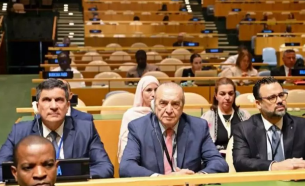 جمعية العامة للأمم المتحدة حول التنمية الحضرية