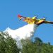 Ascoli Piceno, Italy - July 21, 2006: Canadair in action on the hills of the Marche, in Italy, while extinguishing a fire in a forest. The canadair is a propeller plane and is able to take a great quantity of water from the sea or even from a lake and to throw on the fire with precision