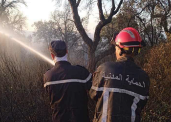 المديرية العامة للحماية المدنية