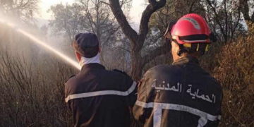 المديرية العامة للحماية المدنية