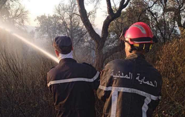 المديرية العامة للحماية المدنية