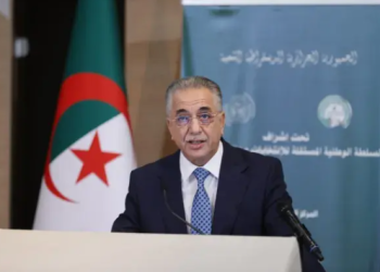 السلطة الوطنية المستقلة للانتخابات