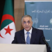 السلطة الوطنية المستقلة للانتخابات
