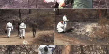التحقيقات