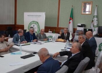 السلطة الوطنية المستقلة للانتخابات