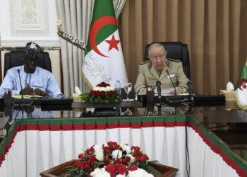 الجزائر النيجر