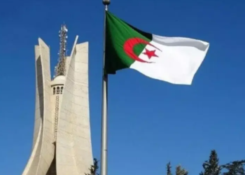 وحدات من الجيش الوطني الشعبي إلى النيجر
