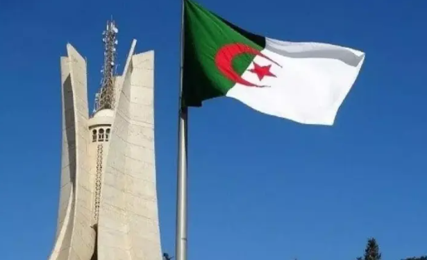 وحدات من الجيش الوطني الشعبي إلى النيجر